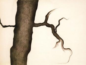 Georgia O Keeffe : Drawing III